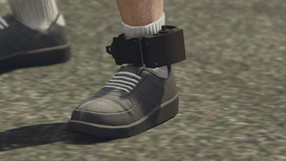 Ankle Monitor Script