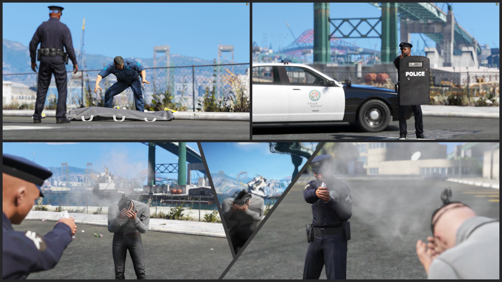 Pepperspray, Police Shield & Bodybag Bundle